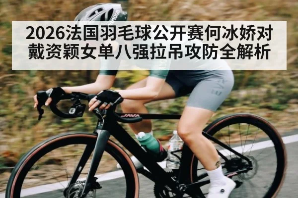 2026法国羽毛球公开赛何冰娇对戴资颖女单八强拉吊攻防全解析